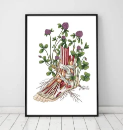 Codex Anatomicus Hands & Legs^Floral foot anatomy