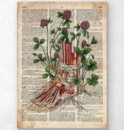 Codex Anatomicus Hands & Legs^Floral foot anatomy - Old dictionary page