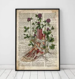 Codex Anatomicus Hands & Legs^Floral foot anatomy - Old dictionary page