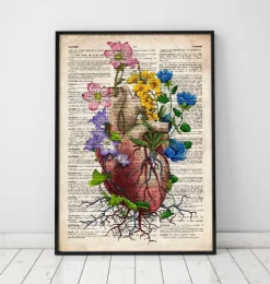 Codex Anatomicus Heart Anatomy^Floral heart anatomy - Old dictionary page