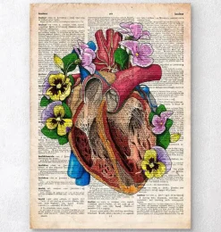 Codex Anatomicus Heart Anatomy^Floral heart anatomy II - Old dictionary page