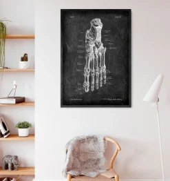 Codex Anatomicus Skull & Skeleton | Hands & Legs^Foot anatomy - Chalkboard