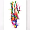 Codex Anatomicus Skull & Skeleton | Hands & Legs^Foot anatomy - Watercolor splash