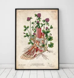 Codex Anatomicus Hands & Legs^Foot anatomy art - Floral - Vintage