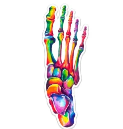 Codex Anatomicus Stickers^Foot anatomy sticker - Watercolor Splash