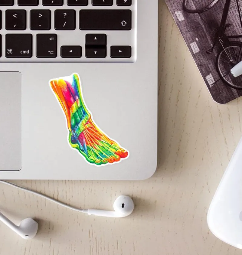 Codex Anatomicus Stickers^Foot anatomy sticker II - Watercolor Splash