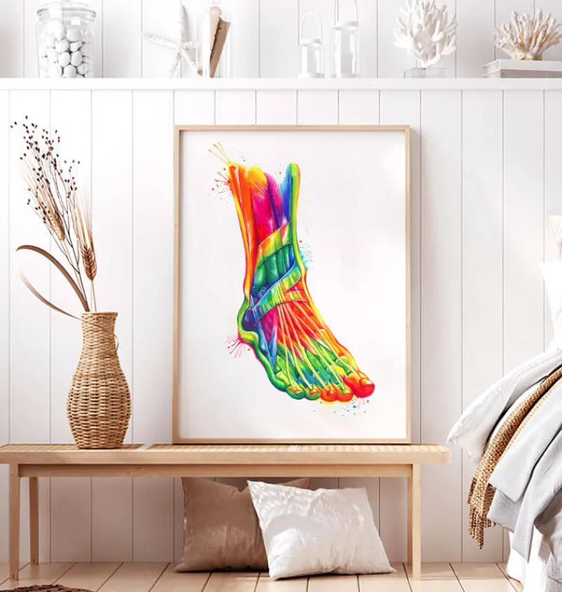 Codex Anatomicus Skull & Skeleton | Hands & Legs^Foot and ankle anatomy - Watercolor splash