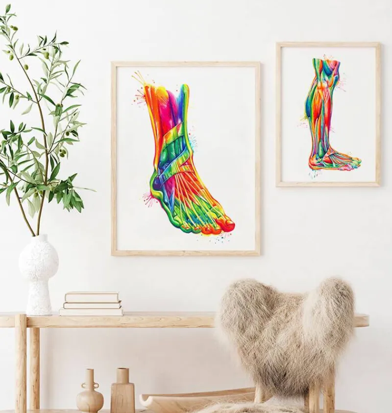 Codex Anatomicus Skull & Skeleton | Hands & Legs^Foot and ankle anatomy - Watercolor splash