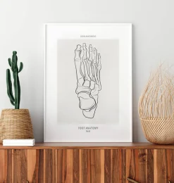 Codex Anatomicus Skull & Skeleton^Foot skeleton - Line Art