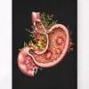 Codex Anatomicus Digestive System^Gastric ulcers - Floral - Black