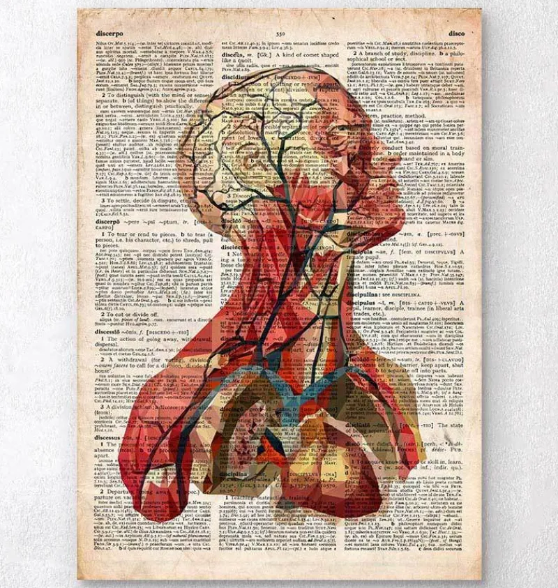 Codex Anatomicus Head & Face^Geometric head anatomy II - Old dictionary page