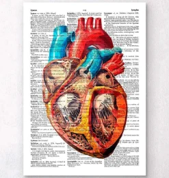 Codex Anatomicus Heart Anatomy^Geometric heart - Dictionary page