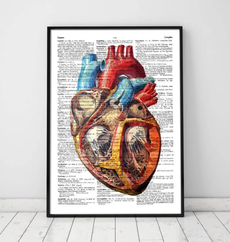 Codex Anatomicus Heart Anatomy^Geometric heart - Dictionary page