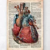 Codex Anatomicus Heart Anatomy^Geometric heart II - Old dictionary page