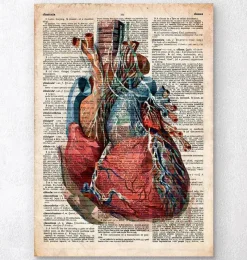Codex Anatomicus Heart Anatomy^Geometric heart II - Old dictionary page
