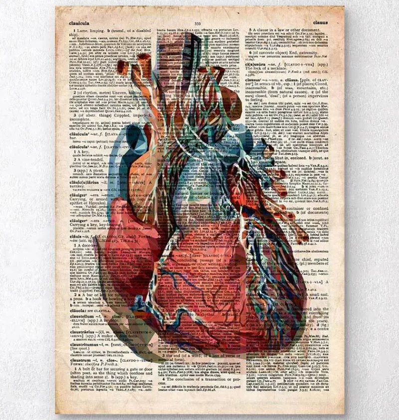 Codex Anatomicus Heart Anatomy^Geometric heart II - Old dictionary page