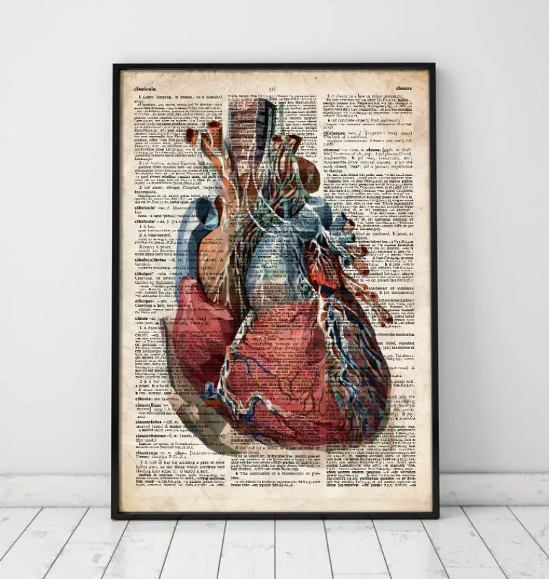 Codex Anatomicus Heart Anatomy^Geometric heart II - Old dictionary page