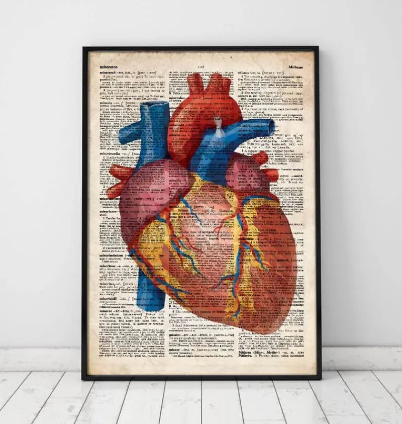 Codex Anatomicus Heart Anatomy^Geometric heart III - Old dictionary page