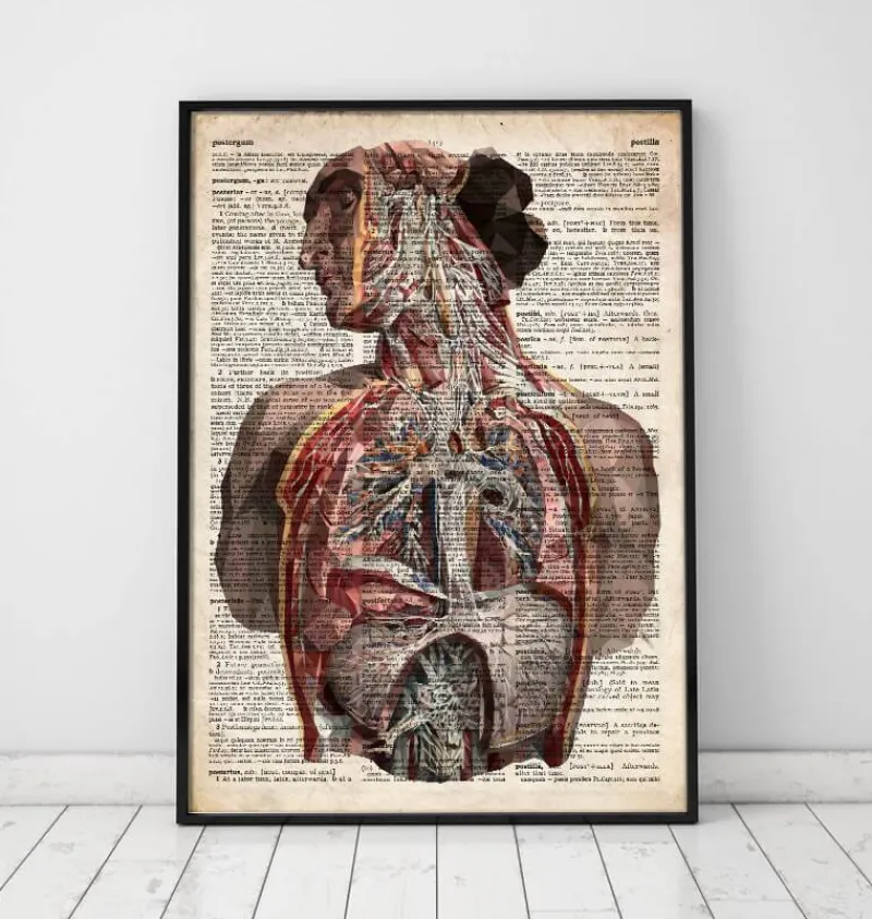 Codex Anatomicus Full Body Anatomy | Brain Anatomy^Geometric human anatomy - Old dictionary page