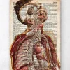 Codex Anatomicus Various Organs | Full Body Anatomy^Geometric human anatomy II - Old dictionary page