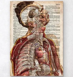 Codex Anatomicus Various Organs | Full Body Anatomy^Geometric human anatomy II - Old dictionary page