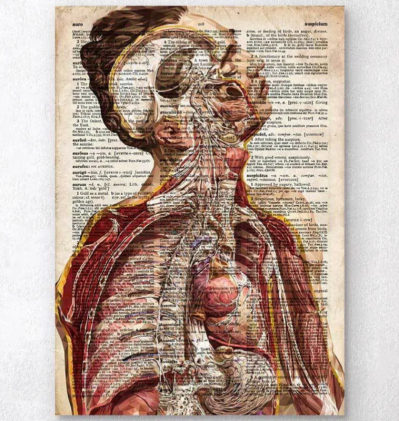 Codex Anatomicus Various Organs | Full Body Anatomy^Geometric human anatomy II - Old dictionary page