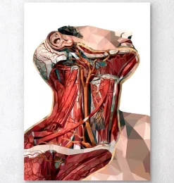 Codex Anatomicus Head & Face^Geometric neck anatomy art
