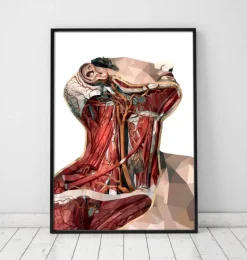 Codex Anatomicus Head & Face^Geometric neck anatomy art