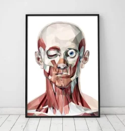 Codex Anatomicus Head & Face^Geometrical face anatomy I