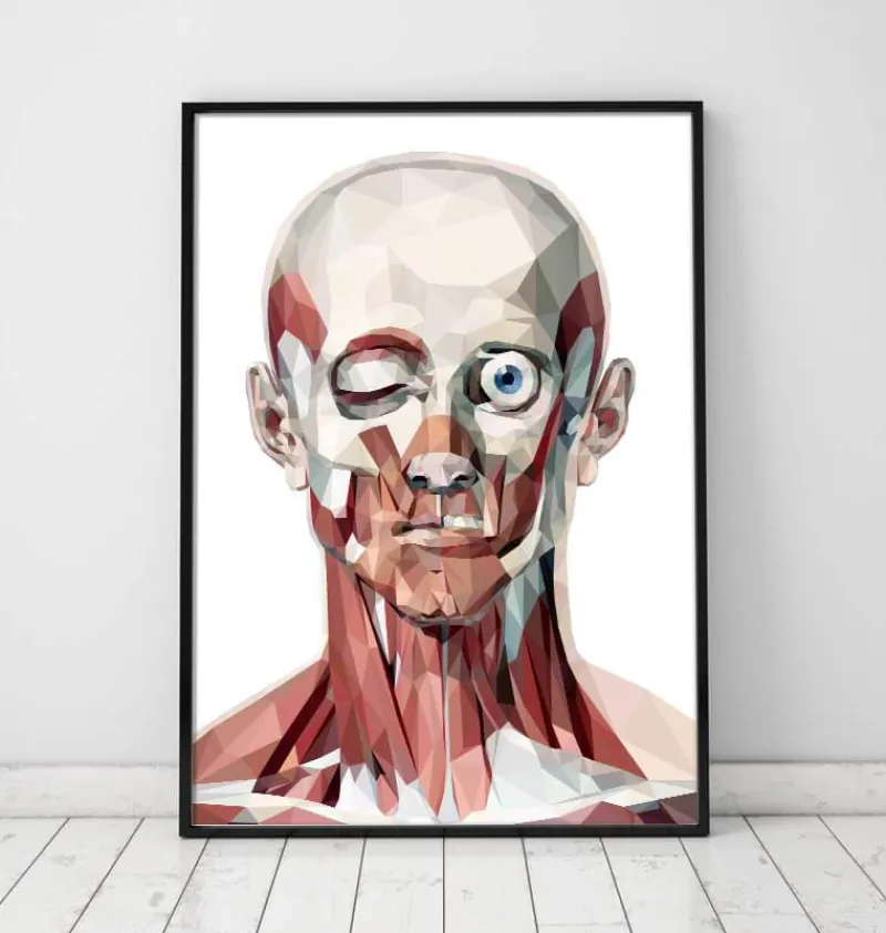 Codex Anatomicus Head & Face^Geometrical face anatomy I