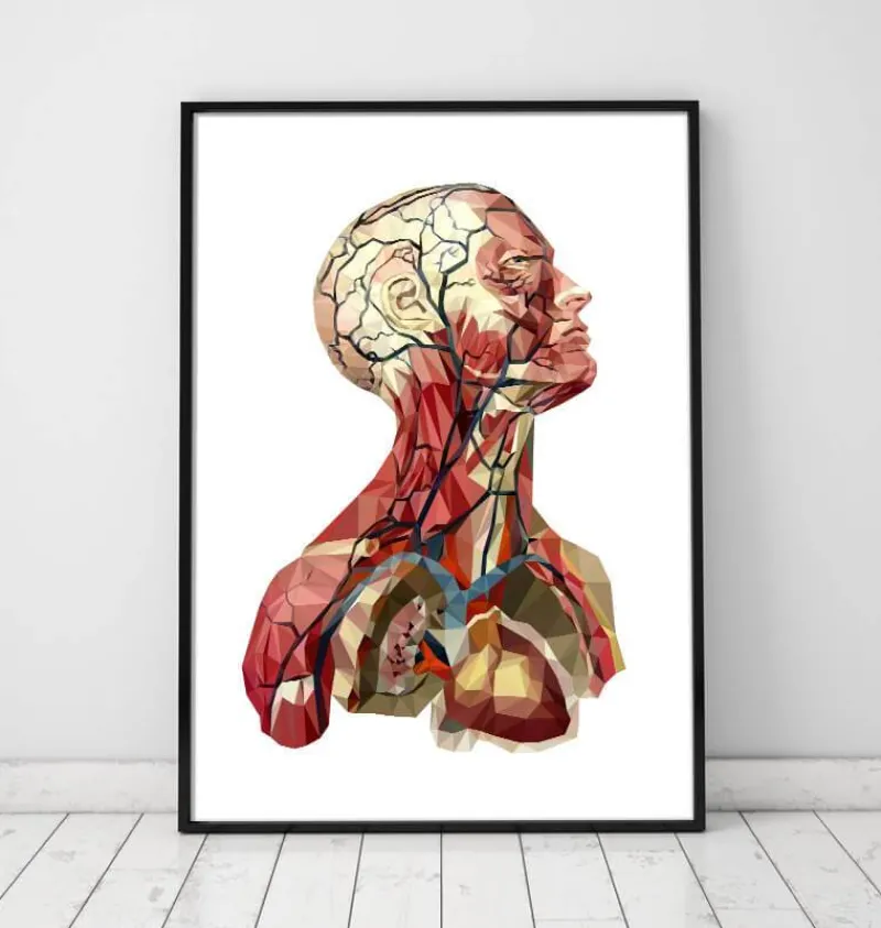 Codex Anatomicus Head & Face | Heart Anatomy^Geometrical head anatomy II