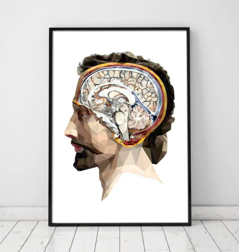 Codex Anatomicus Head & Face | Brain Anatomy^Geometrical head and brain II