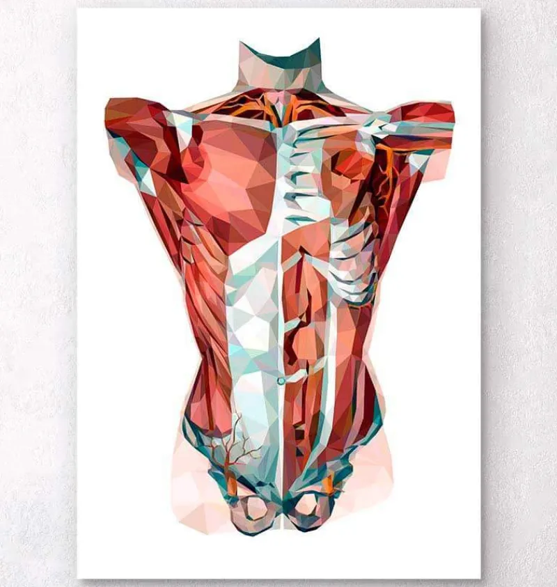 Codex Anatomicus Full Body Anatomy^Geometrical torso anatomy
