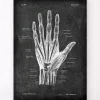 Codex Anatomicus Hands & Legs^Hand anatomy - Chalkboard