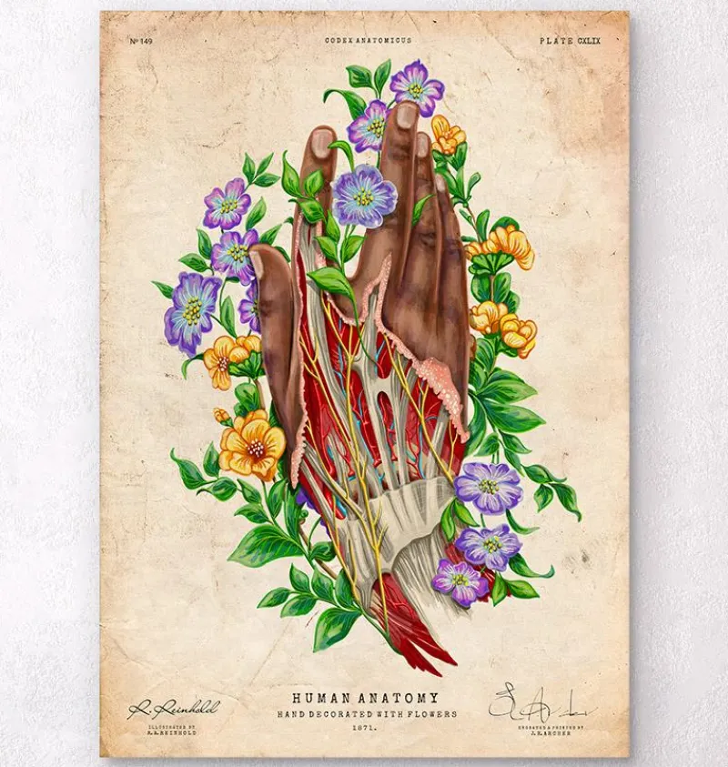 Codex Anatomicus Hands & Legs^Hand anatomy - Dark skin tone - Floral - Vintage