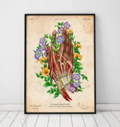 Codex Anatomicus Hands & Legs^Hand anatomy - Dark skin tone - Floral - Vintage