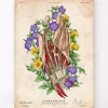 Codex Anatomicus Hands & Legs^Hand anatomy - Floral - Vintage