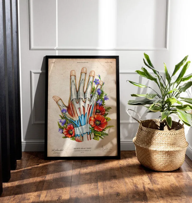 Codex Anatomicus Hands & Legs^Hand anatomy - Floral - Vintage