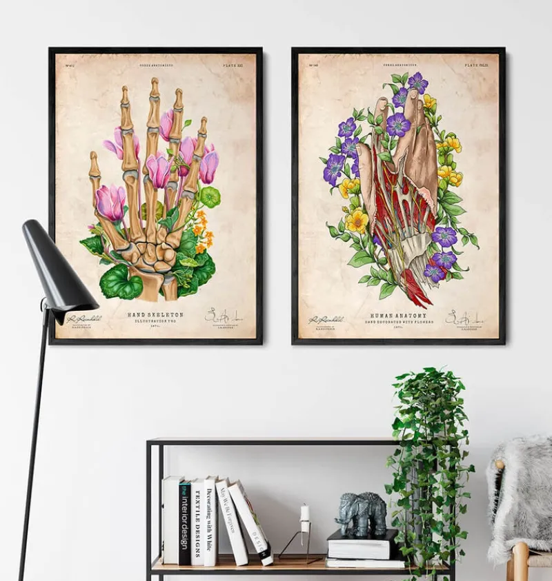 Codex Anatomicus Hands & Legs^Hand anatomy - Floral - Vintage