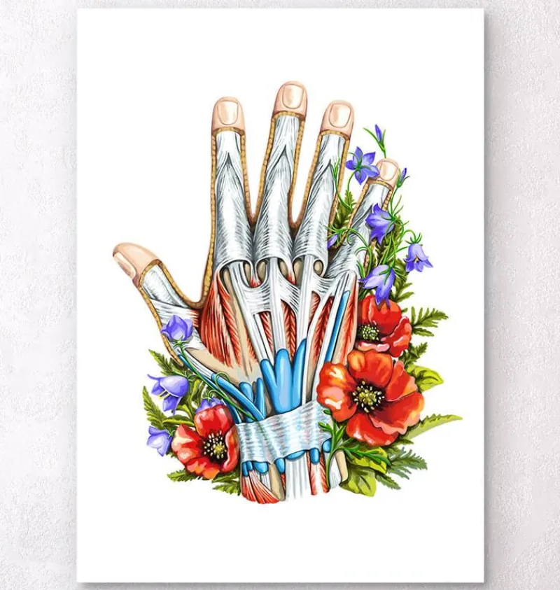 Codex Anatomicus Hands & Legs^Hand anatomy - Floral - White