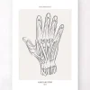 Codex Anatomicus Hands & Legs^Hand anatomy - Line Art