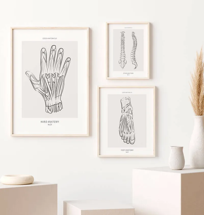 Codex Anatomicus Hands & Legs^Hand anatomy - Line Art