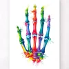 Codex Anatomicus Skull & Skeleton | Hands & Legs^Hand anatomy - Watercolor splash