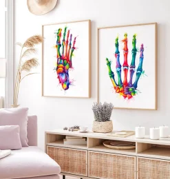 Codex Anatomicus Skull & Skeleton | Hands & Legs^Hand anatomy - Watercolor splash