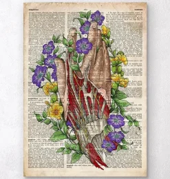 Codex Anatomicus Hands & Legs^Hand anatomy art - Old dictionary page