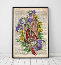 Codex Anatomicus Hands & Legs^Hand anatomy art - Old dictionary page