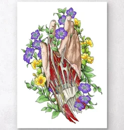 Codex Anatomicus Hands & Legs^Hand anatomy art - White