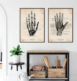 Codex Anatomicus Hands & Legs^Hand anatomy print II