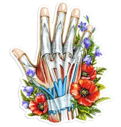 Codex Anatomicus Stickers^Hand anatomy sticker - Floral