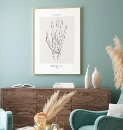 Codex Anatomicus Skull & Skeleton | Hands & Legs^Hand skeleton - Line Art
